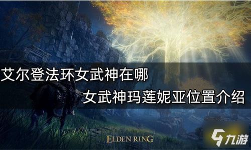《艾尔登法环》中玛莲妮亚的女武神背景故事梳理