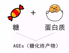 从抗拒到迎合：转变背后的原因