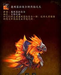 魔兽世界6.1版单刷坐骑秘籍：快速收集掉落大全