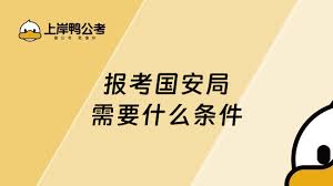 国安局校园招聘时间（具体需关注官方公告）