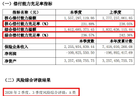 95550：神秘保险守护神背后的公司名字