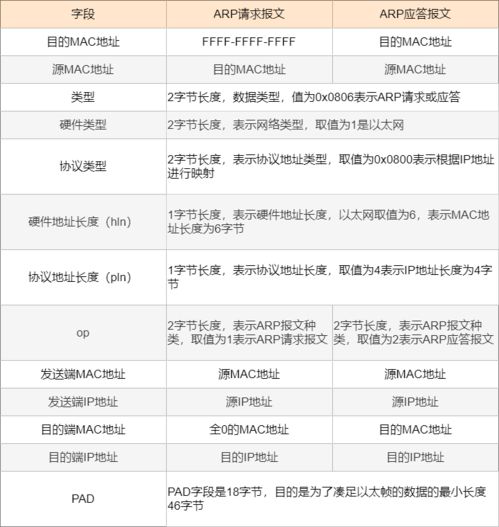 《我的世界》生物全解析：起源、行为与历史探索