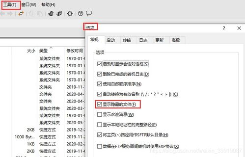 ye321网站为何无法正常访问?一探究竟!