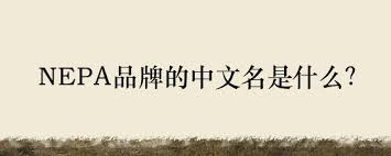 NEPA：这个家电品牌的独特魅力与市场影响力