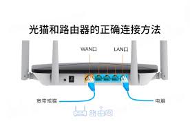 家庭网络：192.168.11网段路由器设置指南