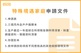 特殊家庭的定义与类型探讨