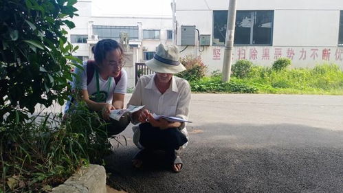 体恤与体察：深入民心的双重视角探析