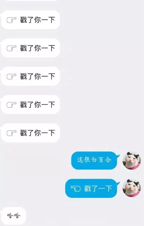 探索‘韵动’的深层含义与魅力