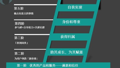 点击社群升级后，这些对话选项你必须知道！