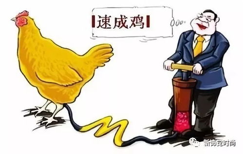 上海俚语：'港驴'一词背后的含义