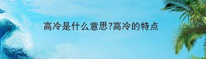 《揭开“高贵冷艳”的神秘面纱：气质与态度的双重诠释》