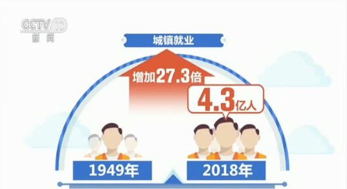 社会发展局：职能与作用解析