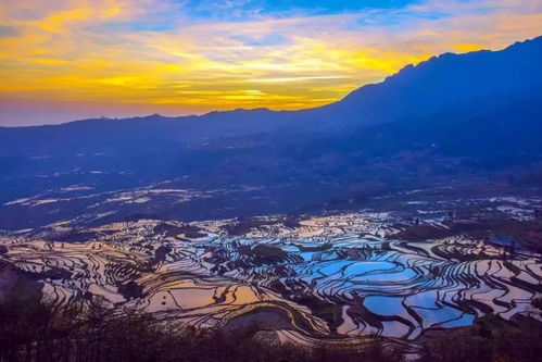 五台山泥石流：山川骤变，生灵劫难，震撼人心