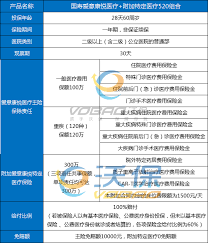 国任医疗保单额外医疗补助金