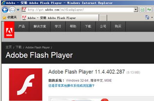 解锁精彩：升级至Flash Player 10.0，开启流畅视觉盛宴！