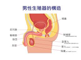 关于网传安师大男性被伤害事件的真相调查