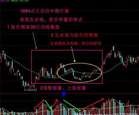 平安赢家超强完整版：30日均线实战技巧全解析