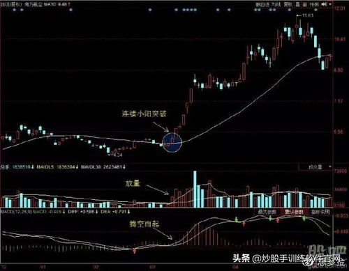 平安赢家超强完整版：30日均线实战技巧全解析