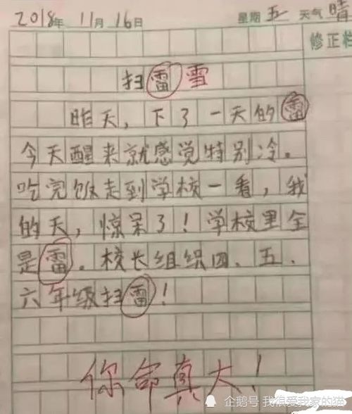 我的作文辅导阿姨