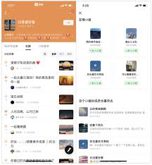 豆瓣B站是什么意思