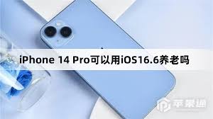 探索iOS 14.4.2：解锁您的设备新潜能