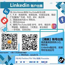 谷歌百事通的详细解析