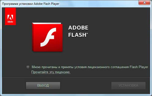 最新版本的Adobe Flash Player 9：一款功能强大的多媒体播放插件