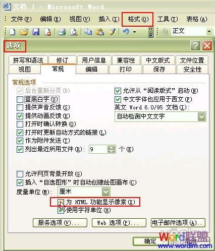 Word文档中序号显示乱码的问题及解决方法