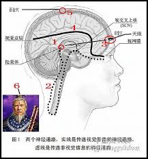 泥宫穴的具体位置在哪里？