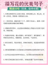 比春日繁花更绚烂的灵魂——探寻那些让人惊艳的美好身影