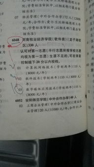 河南龙子湖大学城背后的真相与反思