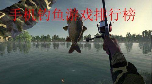 《渔帆暗涌》探秘：追踪尖牙鱼的神秘出没地
