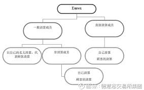 深入解析：参与者的含义与角色