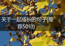 携手并进：共同成长之路