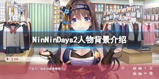 NinNinDays2全攻略一站式通关指南，解锁所有章节秘籍！