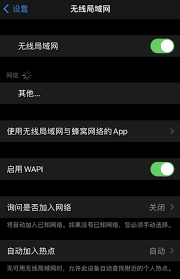 苹果六设置中启用WAP1，你了解其中的安全含义吗？