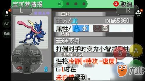 如何到达冰雪镇？口袋妖怪冰雪城进入方法全解析