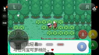 如何到达冰雪镇？口袋妖怪冰雪城进入方法全解析