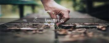 魔兽世界怀旧服：黑翼之巢(BWL)团队副本全面指南