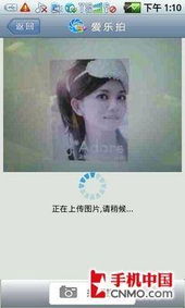 最新搜同网站地址大全，你不可错过的社交指南
