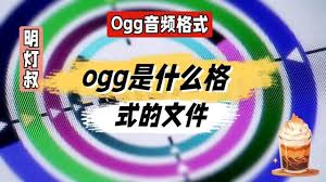 奥运OGG：奥运会背后的技术缩写