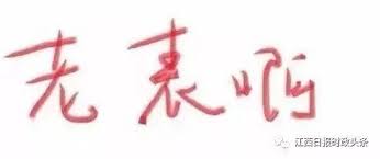 表老的身份解析