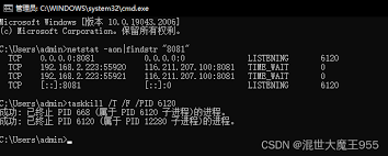 8081端口的功能与用途