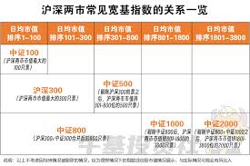 大盘基金清单