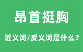 力挺的含义解析