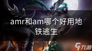 地铁逃生：AWM与AMR哪种武器更优