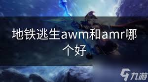 地铁逃生：AWM与AMR哪种武器更优