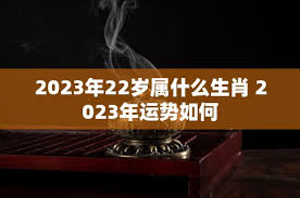 今年22岁属什么生肖？你的生肖密码