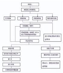 原装进口的非凡魅力：品质之源，尊享之选