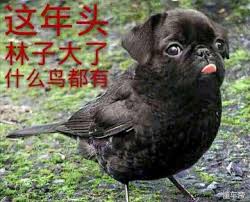 万物皆可为是什么意思?